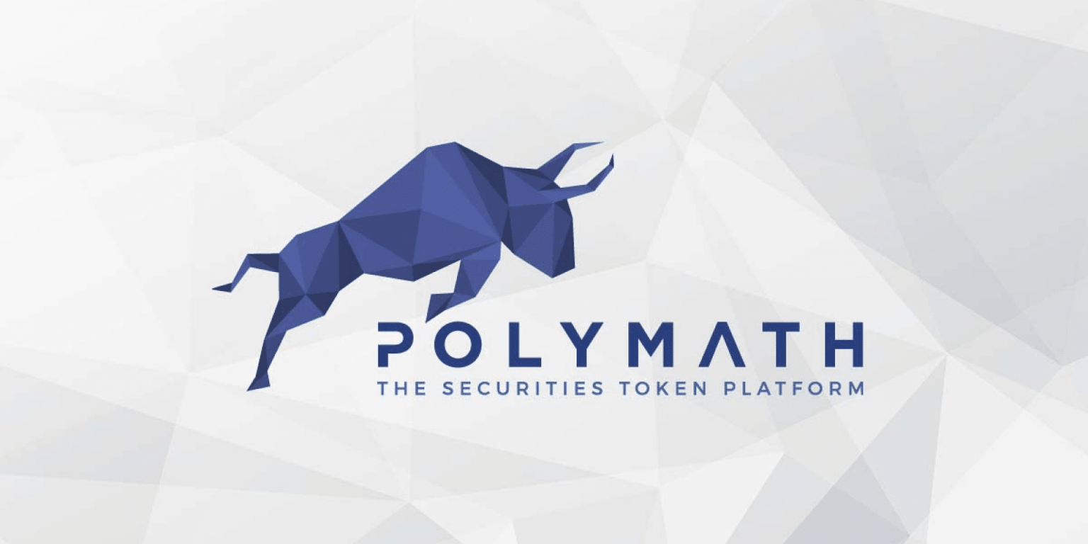 Is Polymath(POLY) a Good Investment - Detailed Insight ...